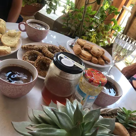 Kamelia-renovated Old House-south Crete *